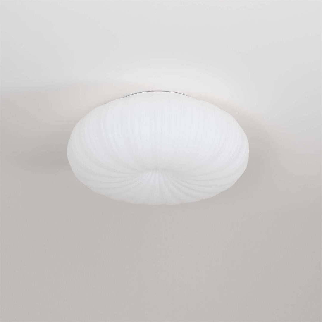 Modern LED Ceiling Light with Remote Dimmer