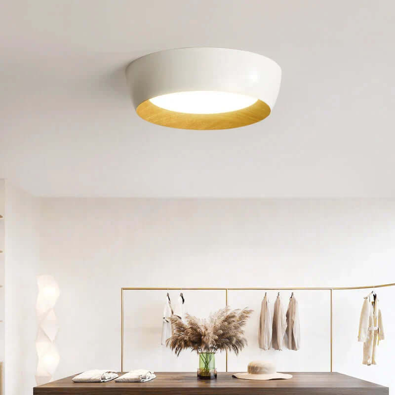 Modern Wood Accent Ceiling Light
