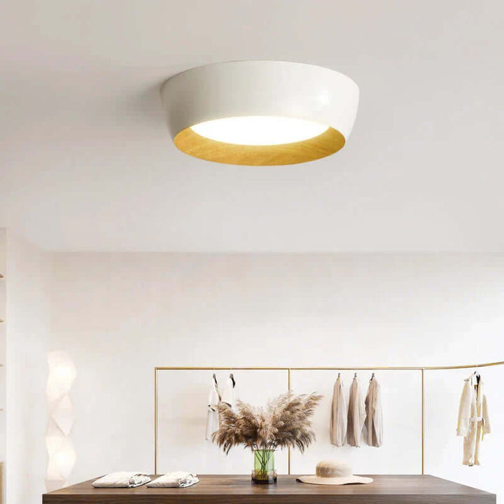 Modern Wood Accent Ceiling Light
