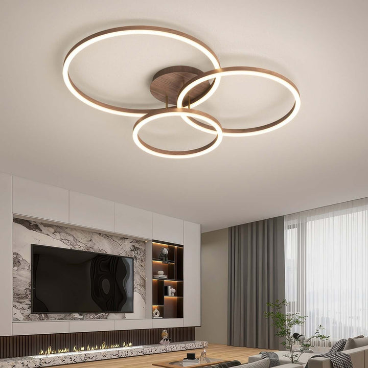 Modern LED Ring Ceiling Light Fixture