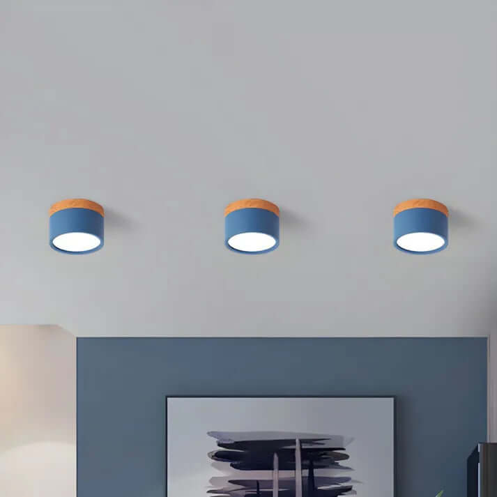 Modern Cylinder LED Ceiling Light