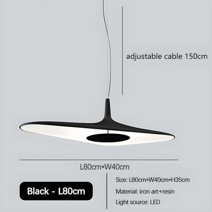 Modern Resin Pendant Light with LED 60cm/80cm