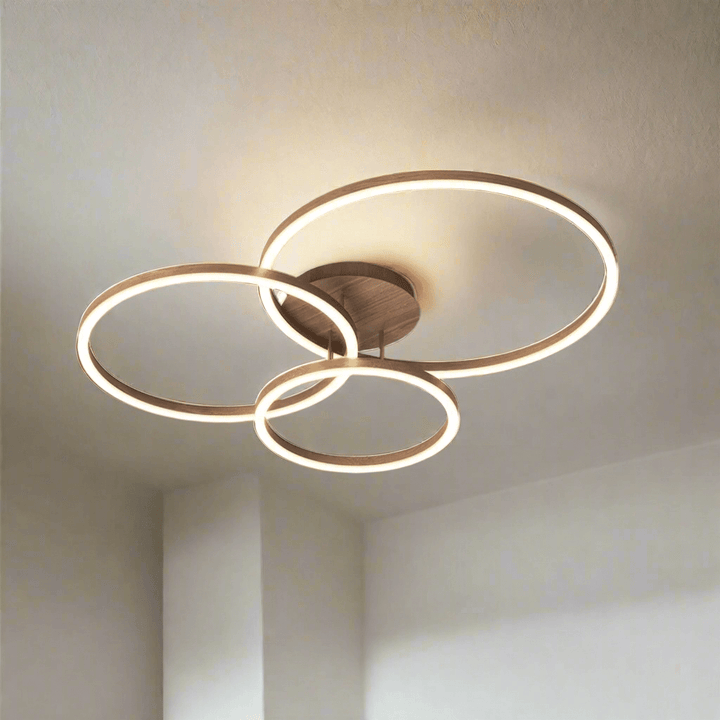 Modern LED Ring Ceiling Light Fixture