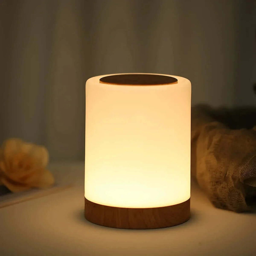 Portable LED Table Lamp with Touch Control