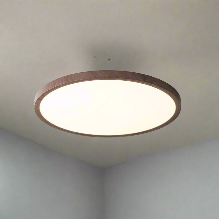 Ultrathin Round LED Ceiling Light Fixture