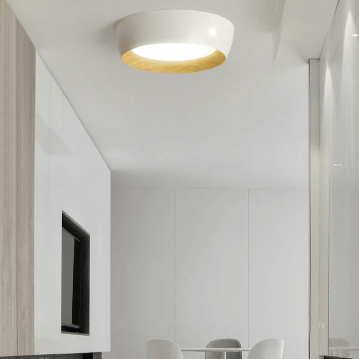 Modern Wood Accent Ceiling Light