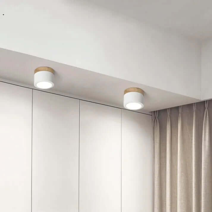 Modern Cylinder LED Ceiling Light