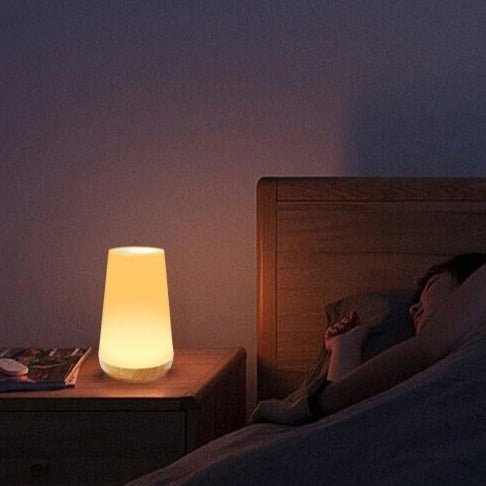 Portable LED Table Lamp with Touch Control