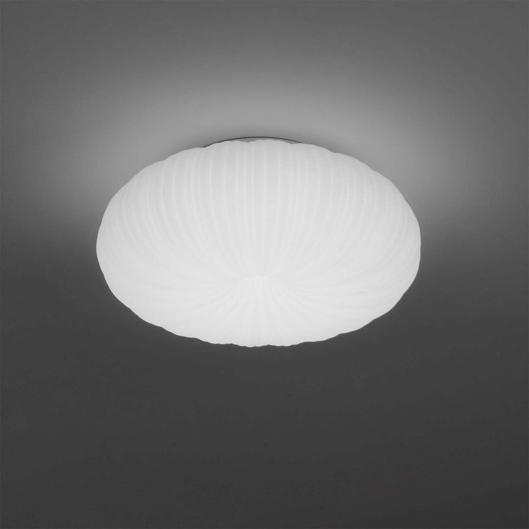 Modern LED Ceiling Light with Remote Dimmer