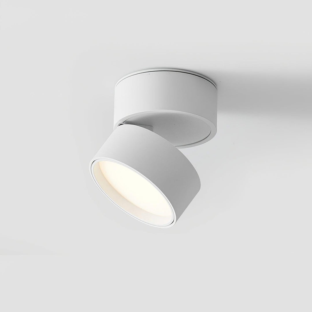 Adjustable LED Ceiling Spotlight Fixture, Warm White, 10cm
