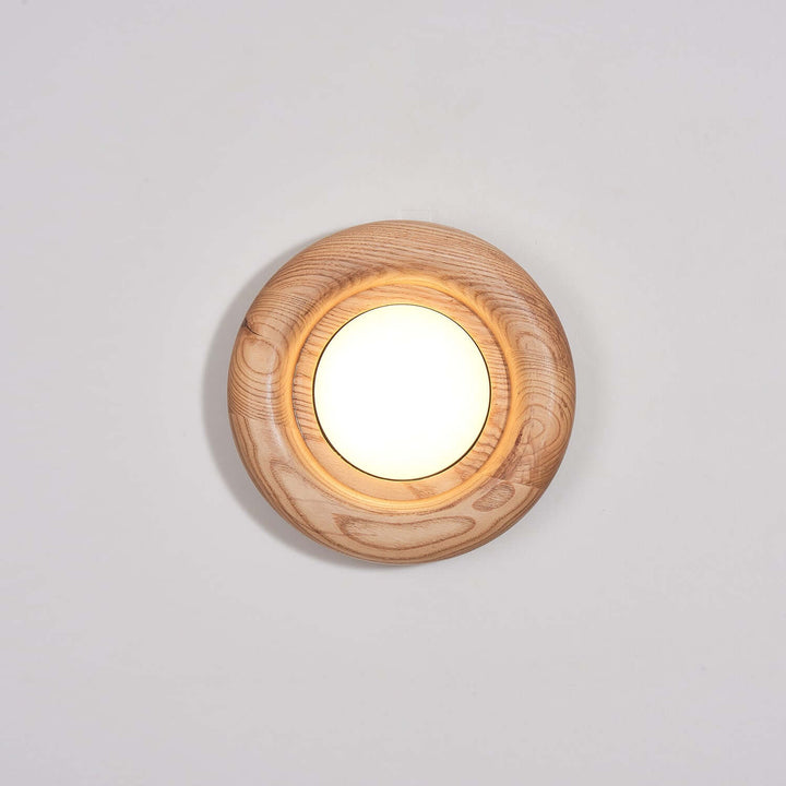 Modern Wood & Acrylic Wall Light