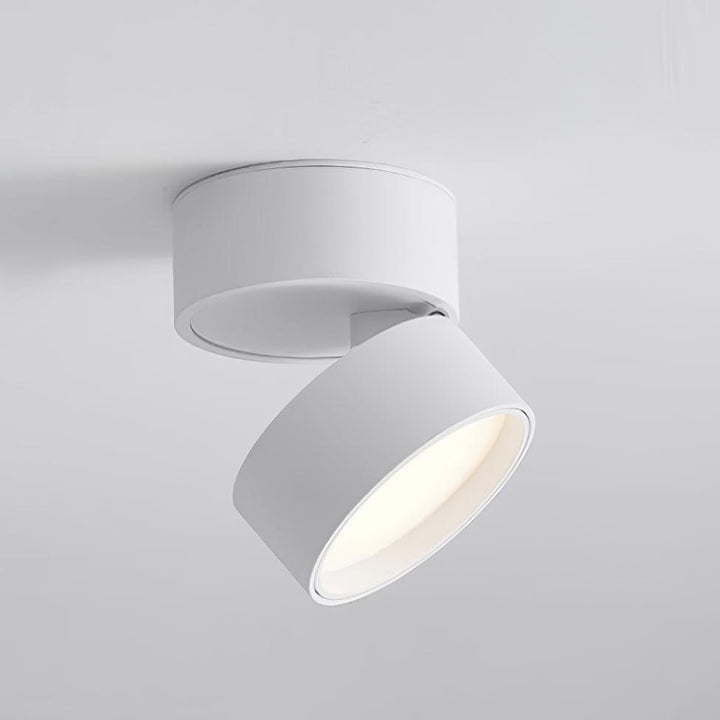 Adjustable LED Ceiling Spotlight Fixture, Warm White, 10cm