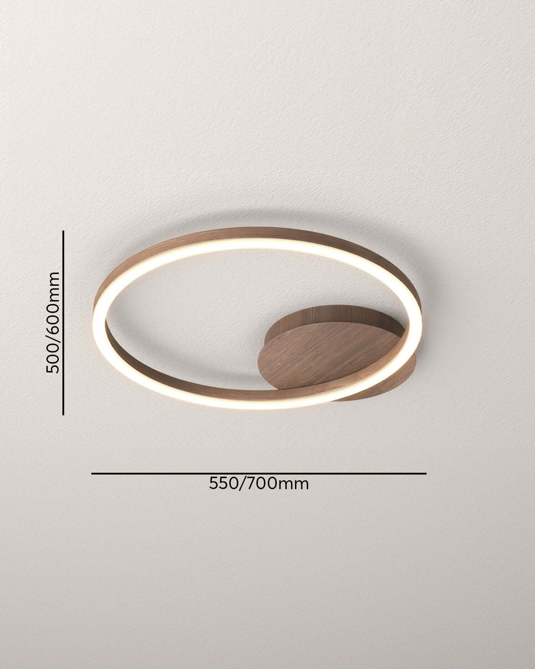 Modern LED Ring Ceiling Light Fixture