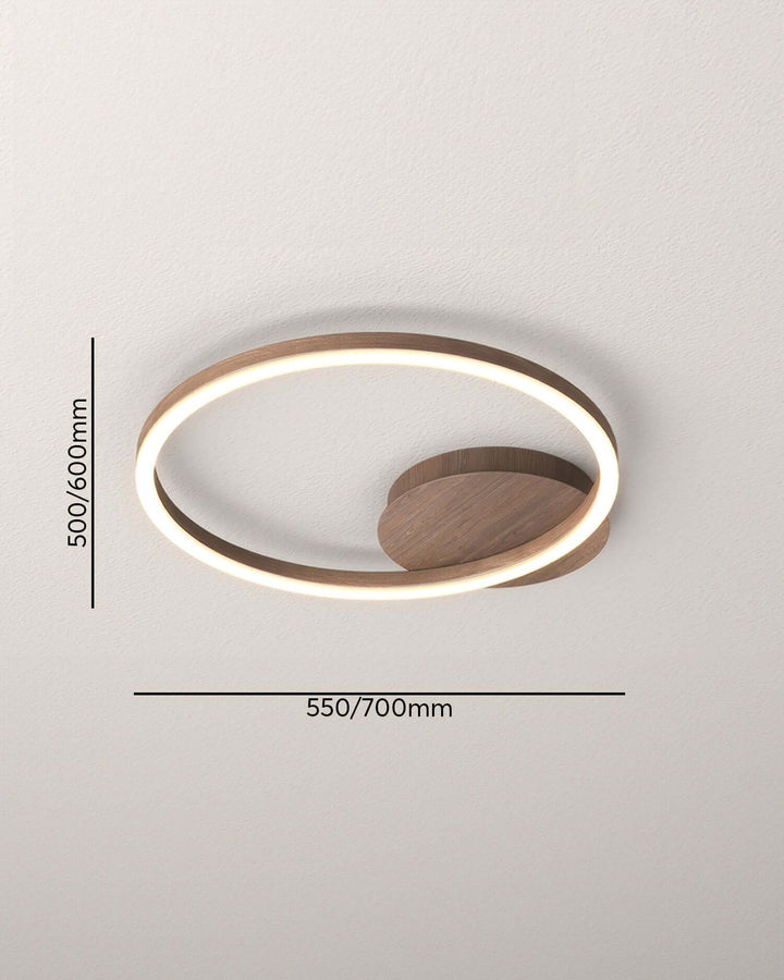 Modern LED Ring Ceiling Light Fixture