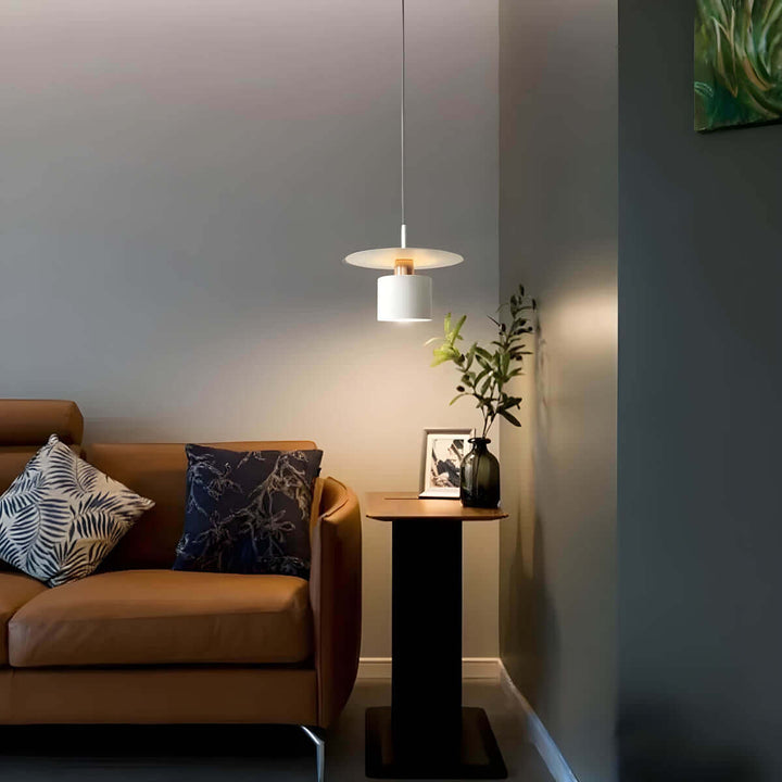 Modern Metal Pendant Light, 20cm/30cm, LED, E27