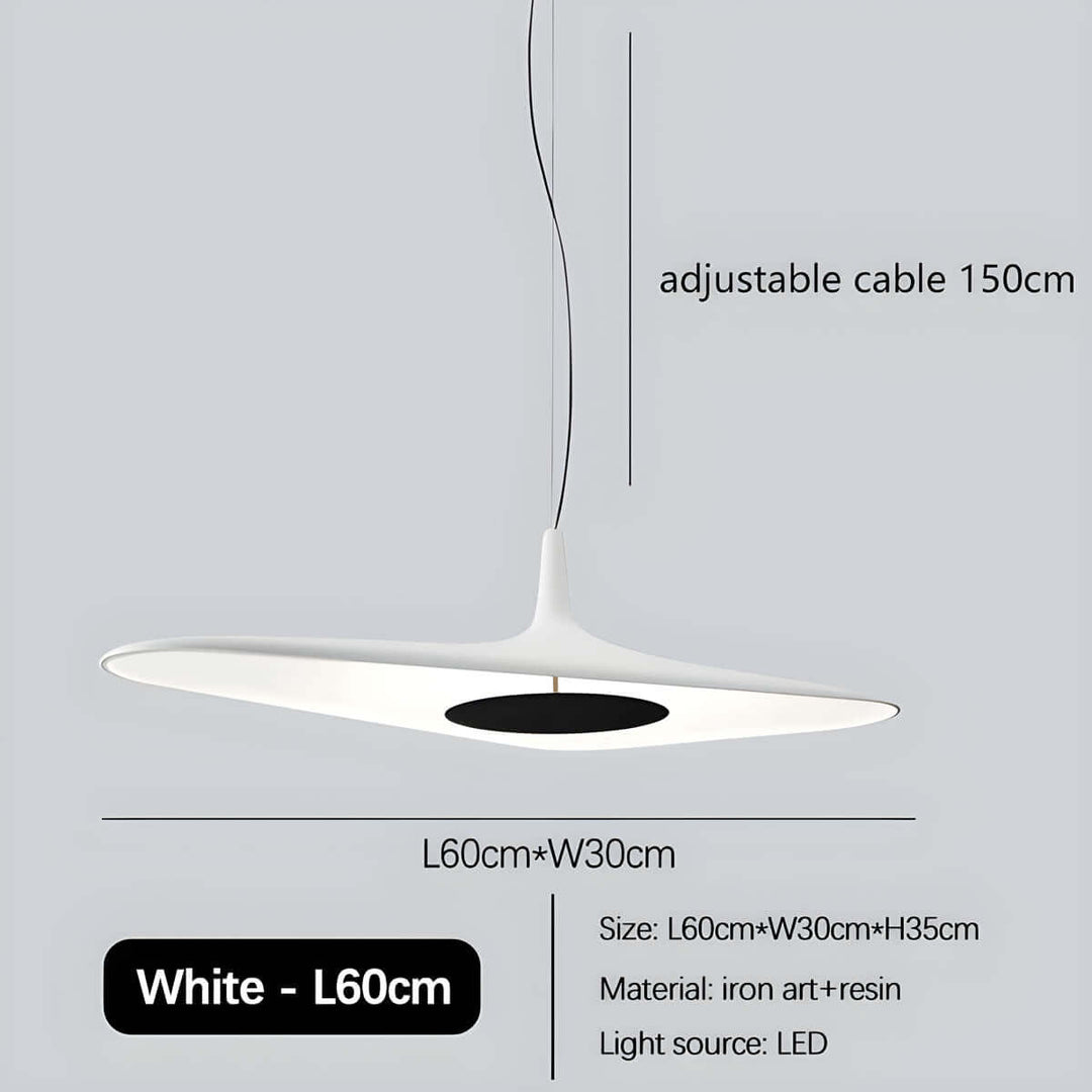 Modern Resin Pendant Light with LED 60cm/80cm