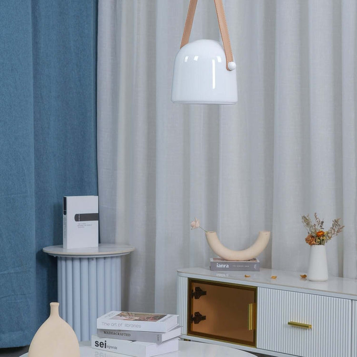 Modern Pendant Lamp with Metal Accents