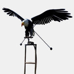 Flying Eagle
