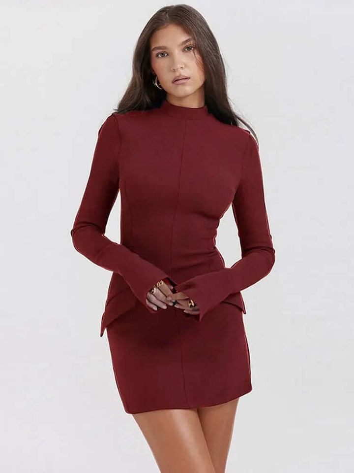 Chic women's elegant turtleneck knit dress with long sleeves, perfect for various occasions.