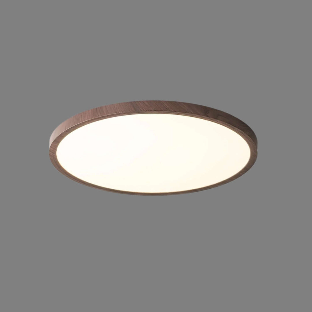 Ultrathin Round LED Ceiling Light Fixture