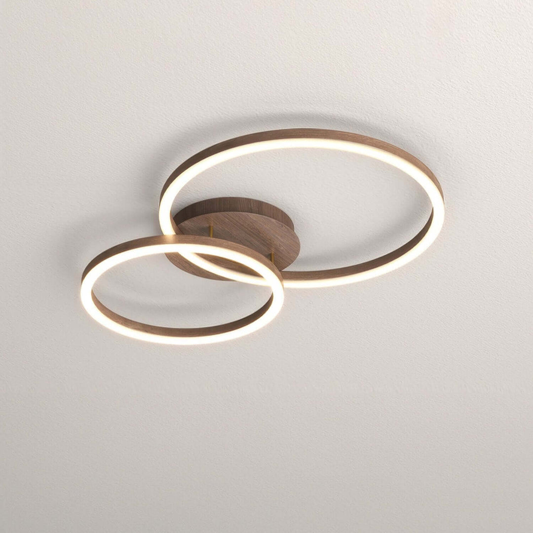 Modern LED Ring Ceiling Light Fixture
