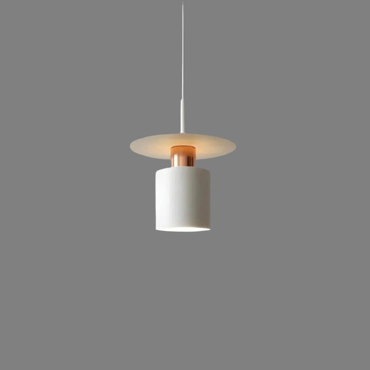 Modern Metal Pendant Light, 20cm/30cm, LED, E27