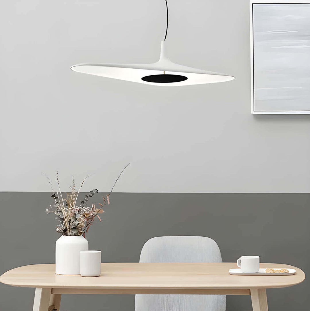 Modern Resin Pendant Light with LED 60cm/80cm