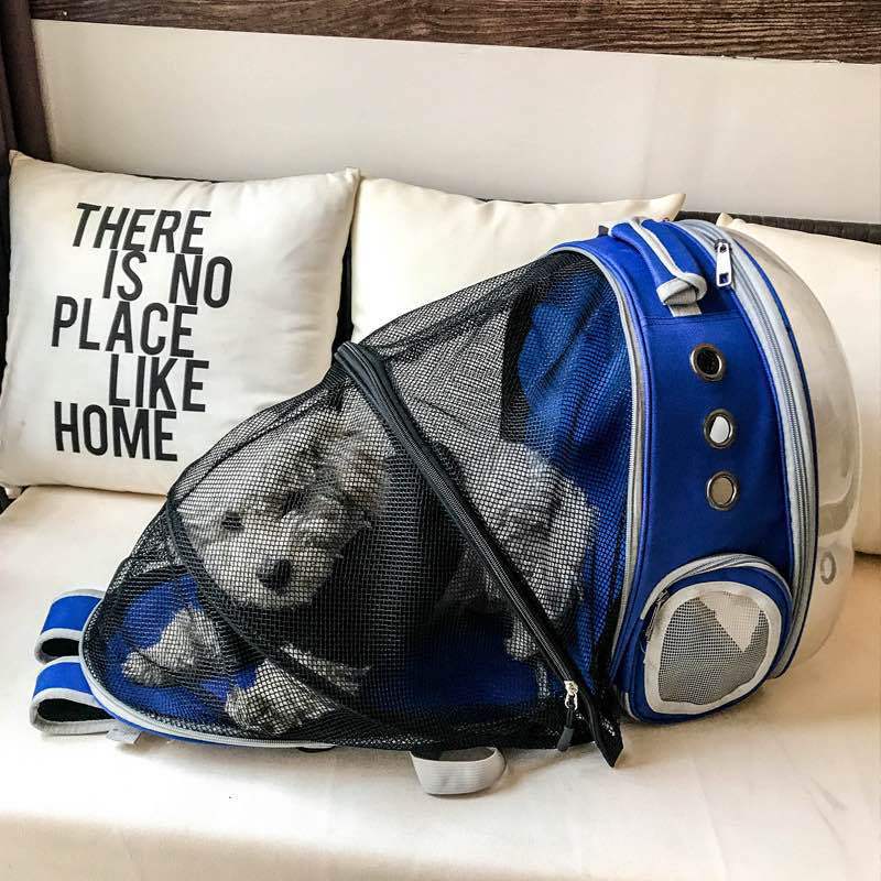 Foldable pet backpack with ventilation, transparent front, mesh panels, adjustable straps, and storage pockets for travel.