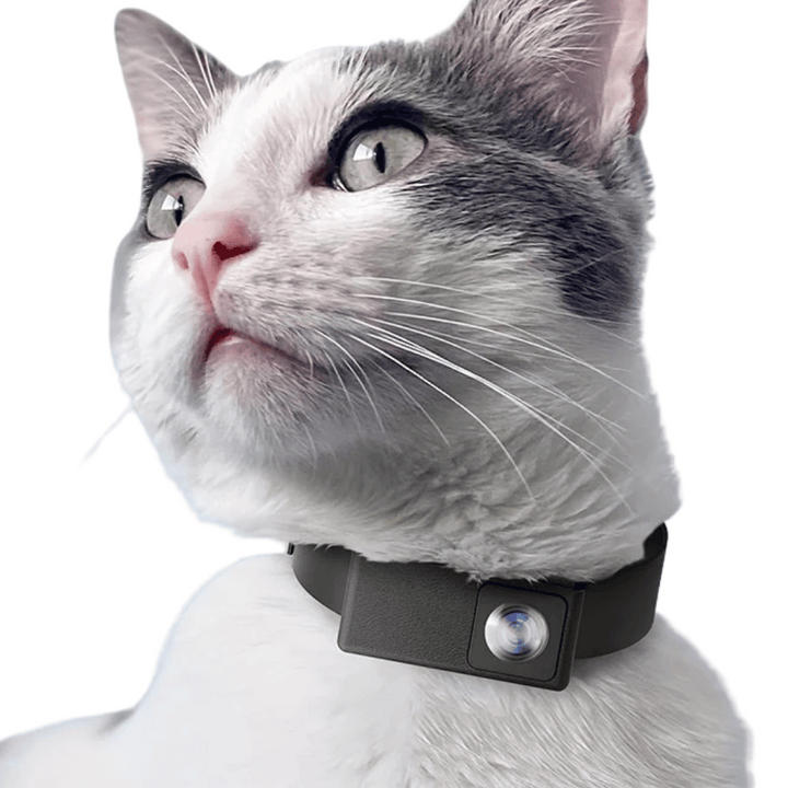 "HD Pet Collar Camera with 160° lens for dogs & cats, capturing adventures in 1080P. Lightweight, compact, easy to attach."