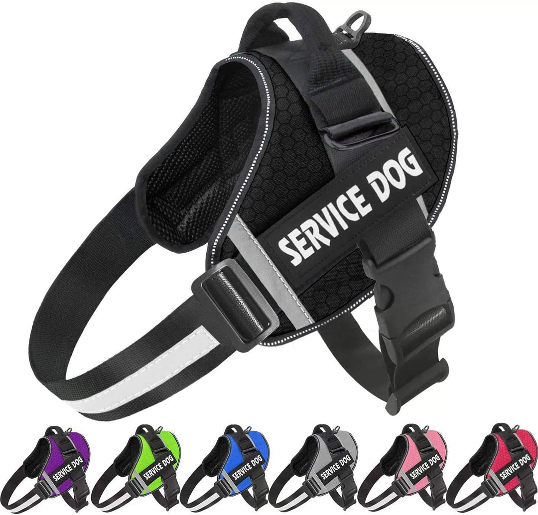 Personalised No-Pull Reflective Dog Harness for Safe Walks