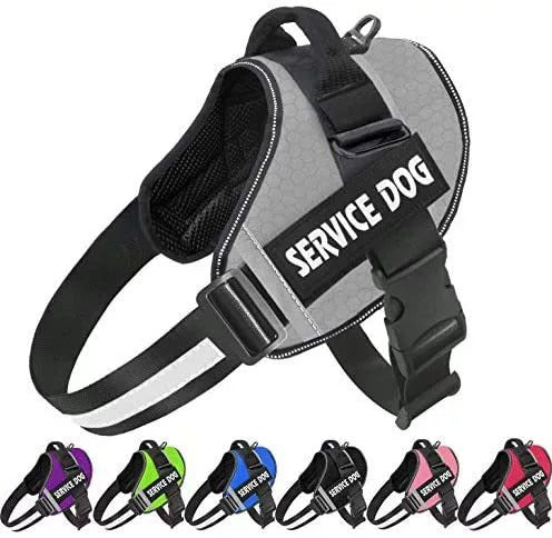 Personalised No-Pull Reflective Dog Harness for Safe Walks