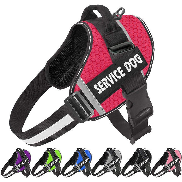 Personalised No-Pull Reflective Dog Harness for Safe Walks