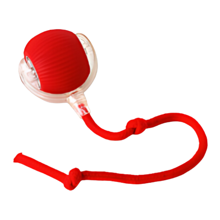 "Interactive cat toy with smooth curves, bright primary colors, USB-C port for charging, enhancing indoor cat play."