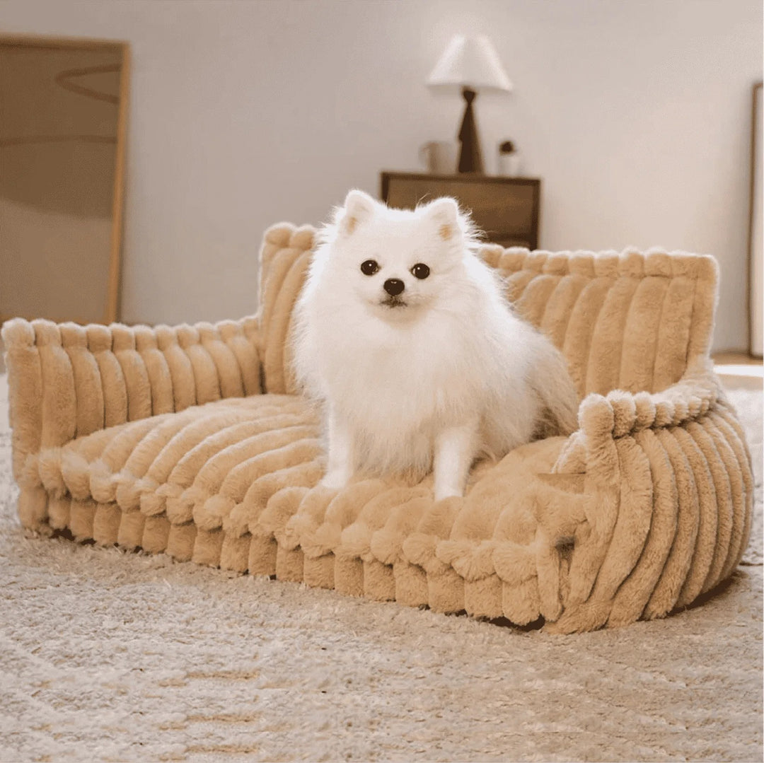 Orthopaedic Washable Dog Sofa for All Breeds