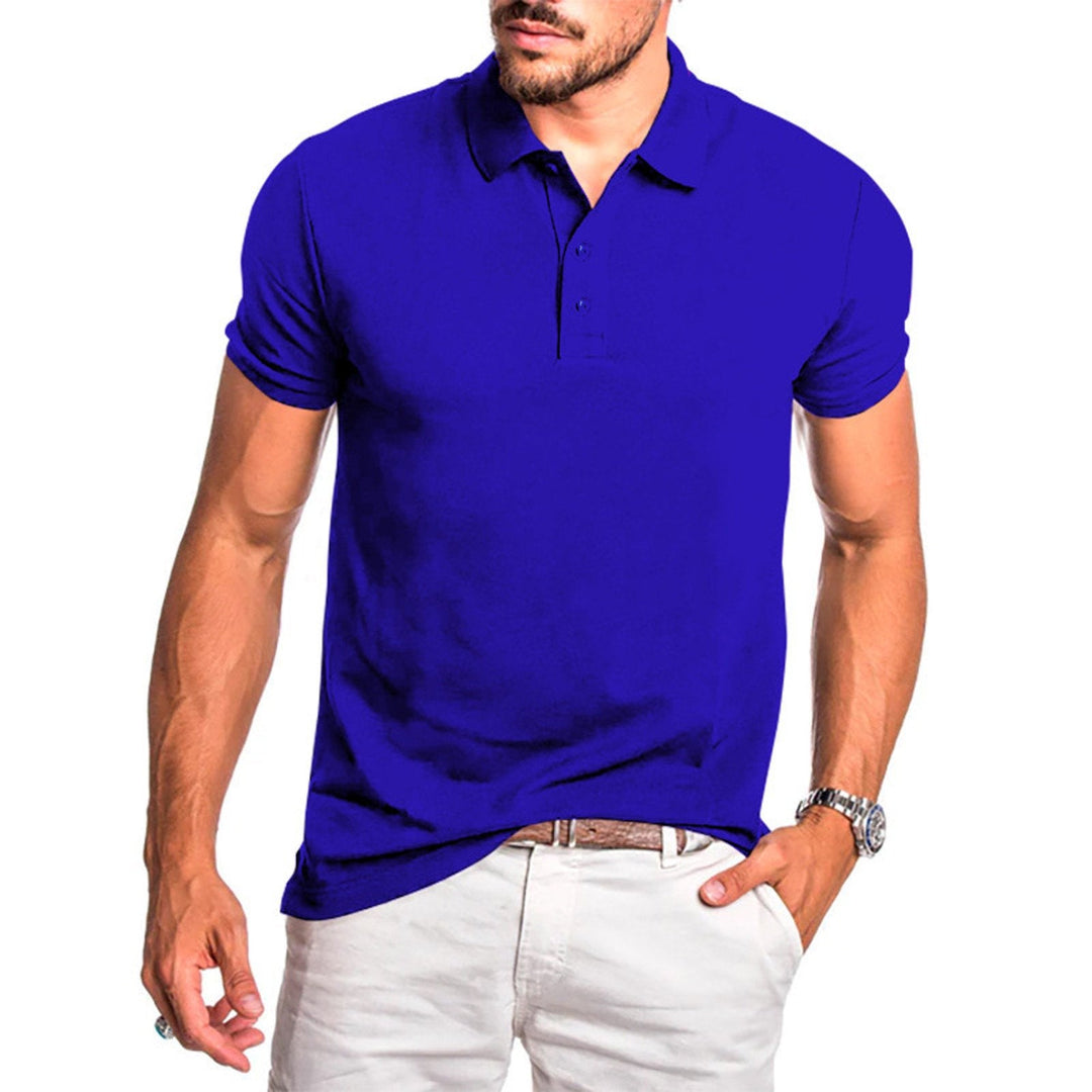 Men's smart casual polo shirt, classic fit, suitable for office wear or weekend outings.