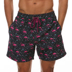 Black & Flamingo
