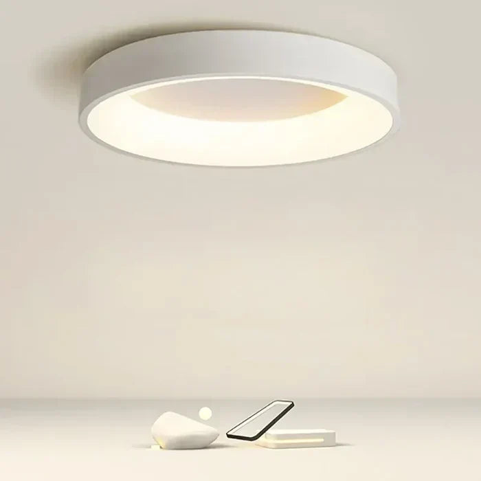 Energy efficient modern circular LED ceiling light. Flush mount design enhances home decor, ideal for any room.
