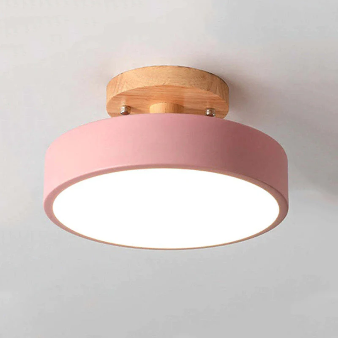 Dimmable Nova LED ceiling light; a stylish and energy-efficient living room fixture.