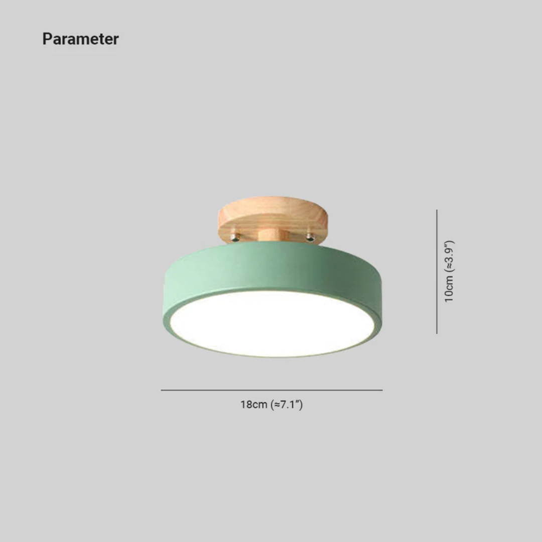 Elegant Nova round LED light; offers adjustable ambient lighting for any room.