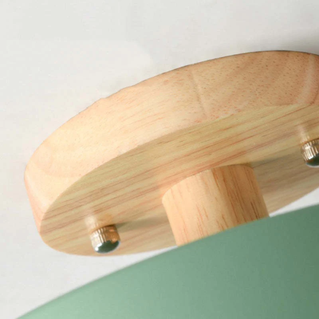 Stylish round LED light fixture, Nova, offering energy-efficient ambient lighting.