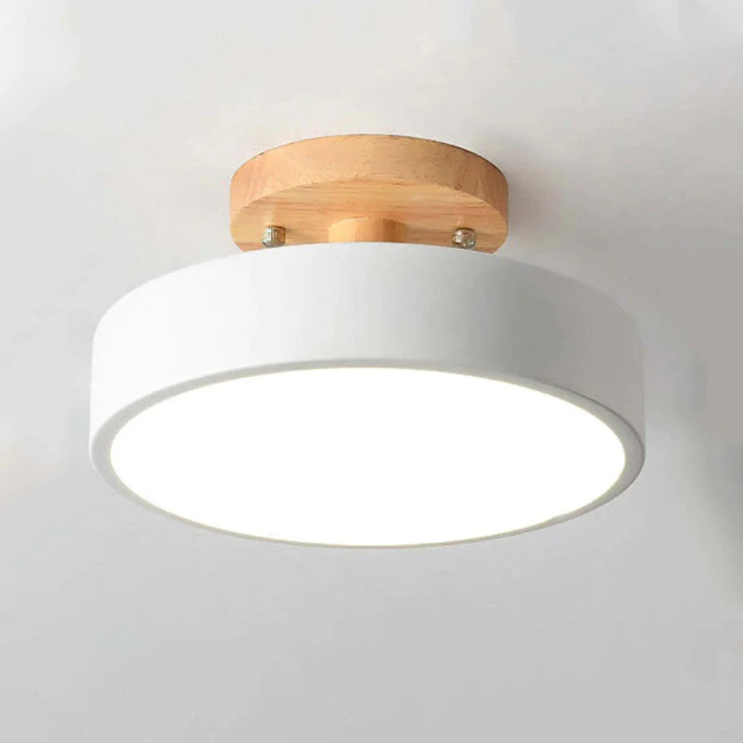 Sleek Nova LED ceiling lamp; contemporary design for living and dining spaces.