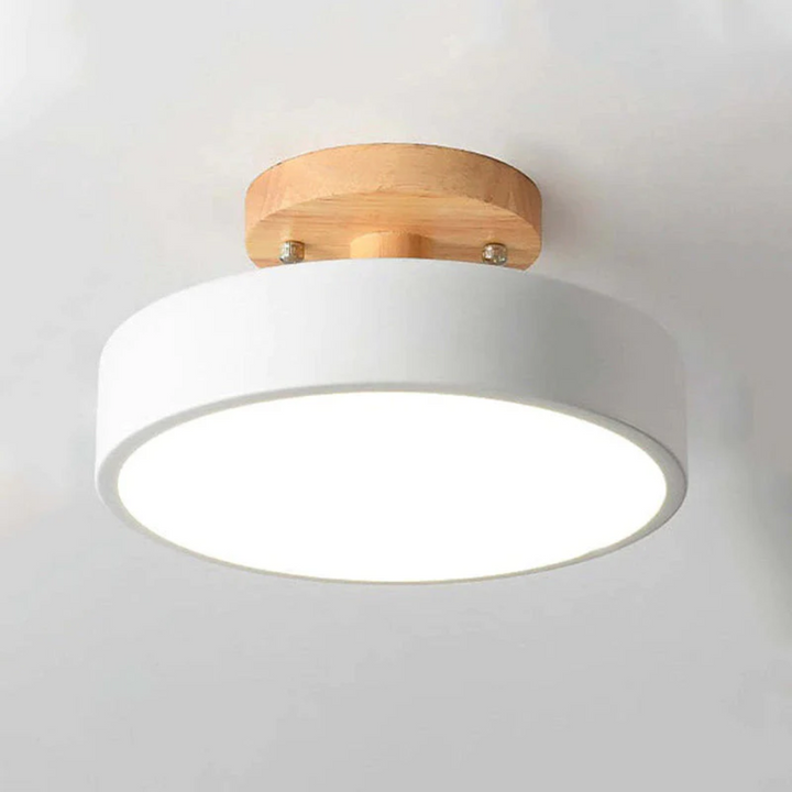 Sleek Nova LED ceiling lamp; contemporary design for living and dining spaces.