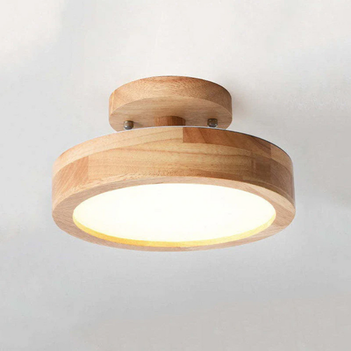 Energy-efficient Nova round LED light, a stylish choice for modern interiors.