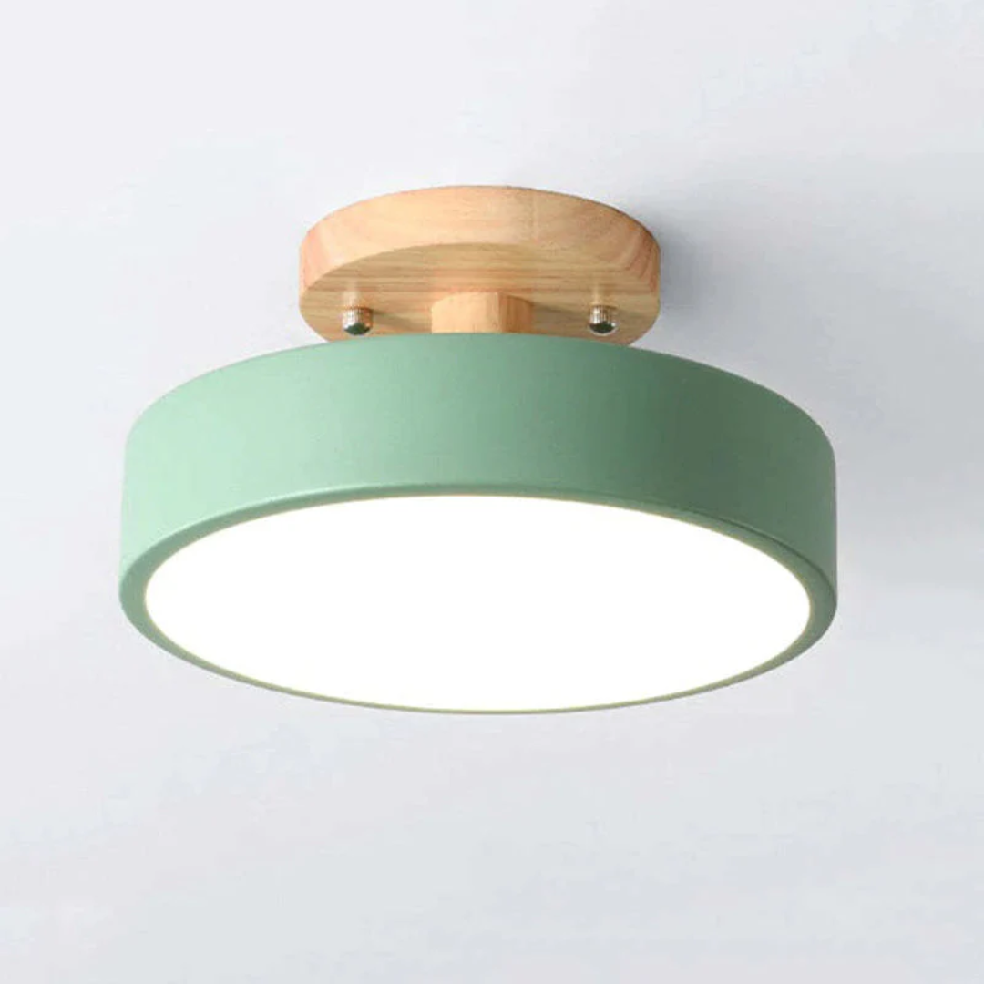 Nova adjustable LED ceiling fixture, providing versatile and ambient indoor lighting.