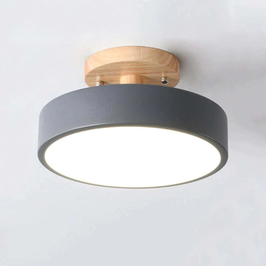 Modern round Nova LED light for ceilings; ideal for contemporary home decor.