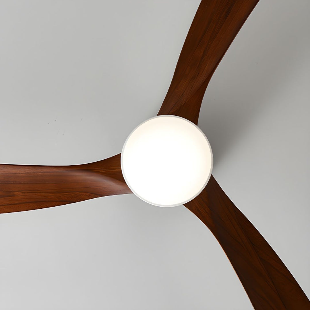 "Nordic Wooden Ceiling Fan Light with sycamore blades and LED, remote-operated for modern home decor."