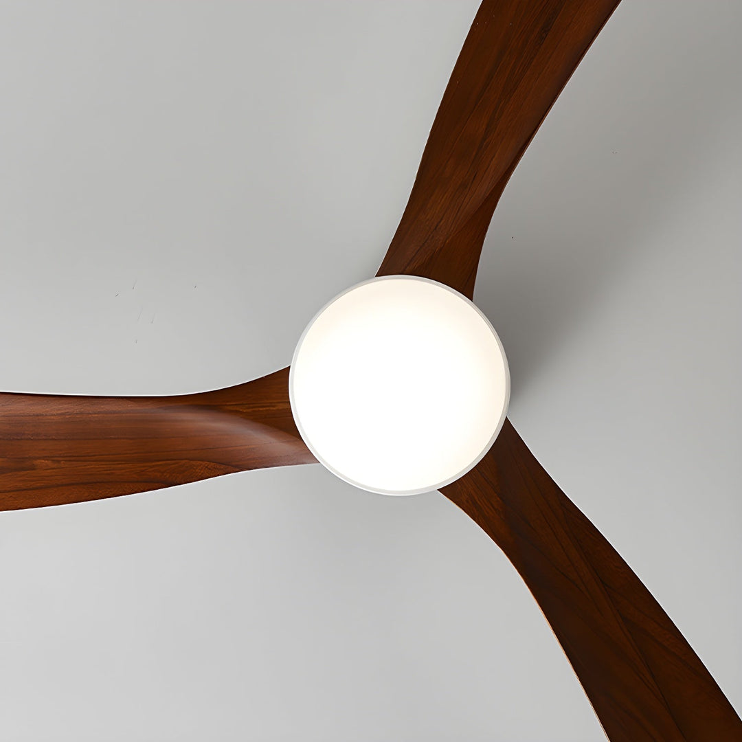 "Nordic Wooden Ceiling Fan Light with sycamore blades and LED, remote-operated for modern home decor."