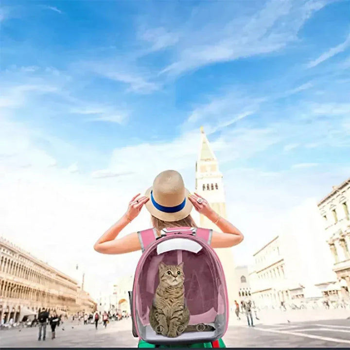 "Pet carrier with 360° view, transparent front, mesh windows, ergonomic straps; gray, green, pink, black options."