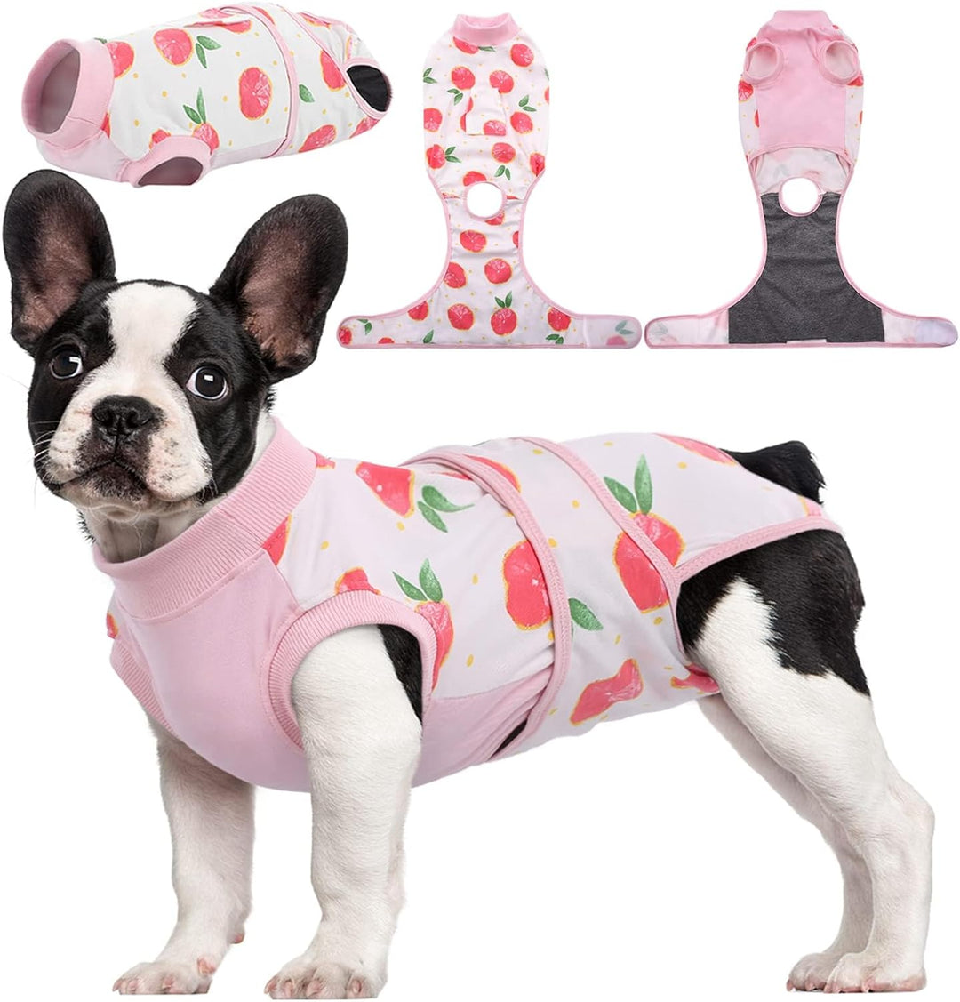 Pet Recovery Suit for dogs & cats: soft, breathable post-surgery wound protection & healing aid.