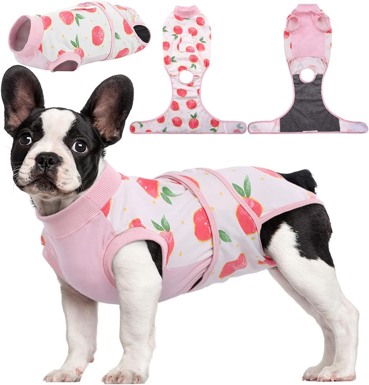 Pet Recovery Suit for dogs & cats: soft, breathable post-surgery wound protection & healing aid.